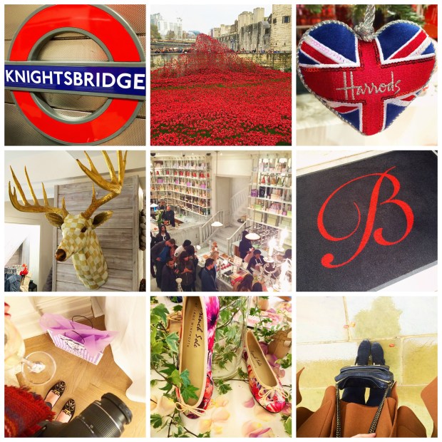 November Instagram 2014 2