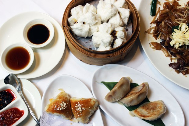 Dim Sum small (3)