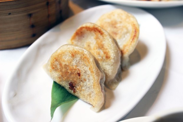 Dim Sum small (7)