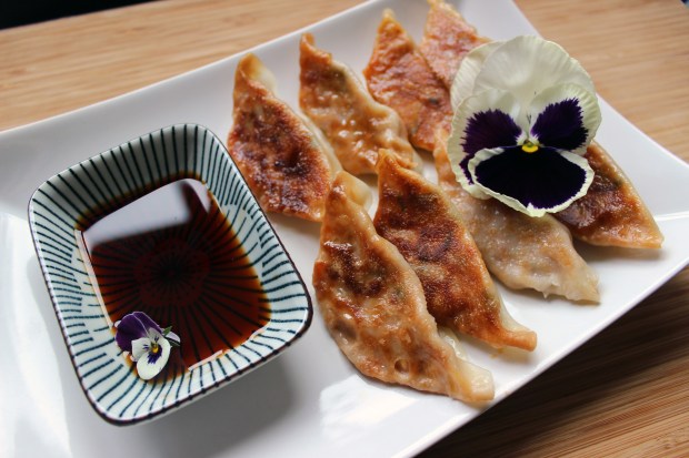 Itsu Gyoza main