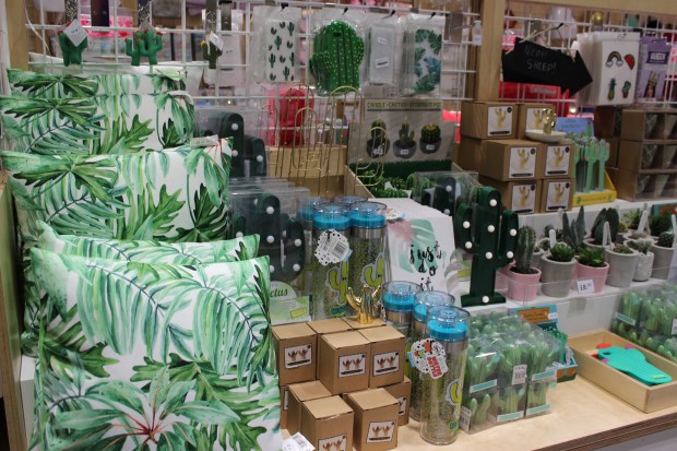 Basingstoke Festival Place (10)