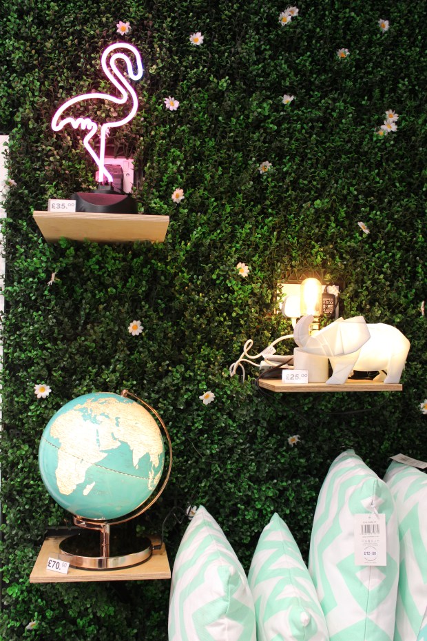 Basingstoke Festival Place (14)