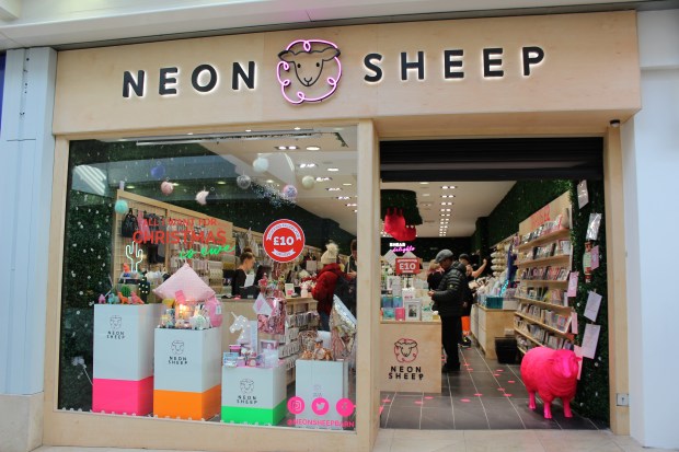 Basingstoke Festival Place (9)