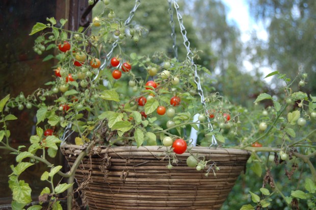 2750606487_d6b5fa8968_o